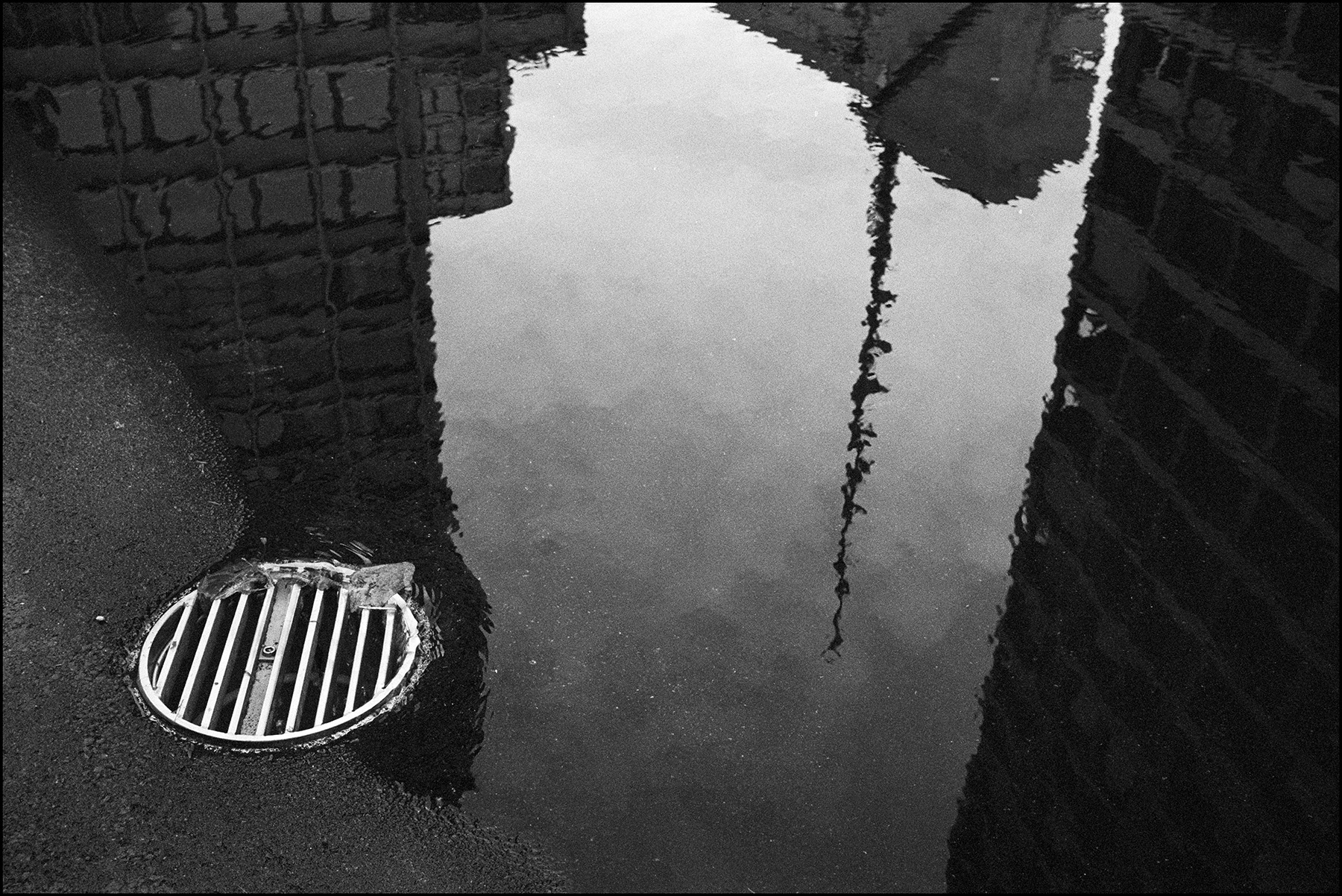 reflections in a puddle