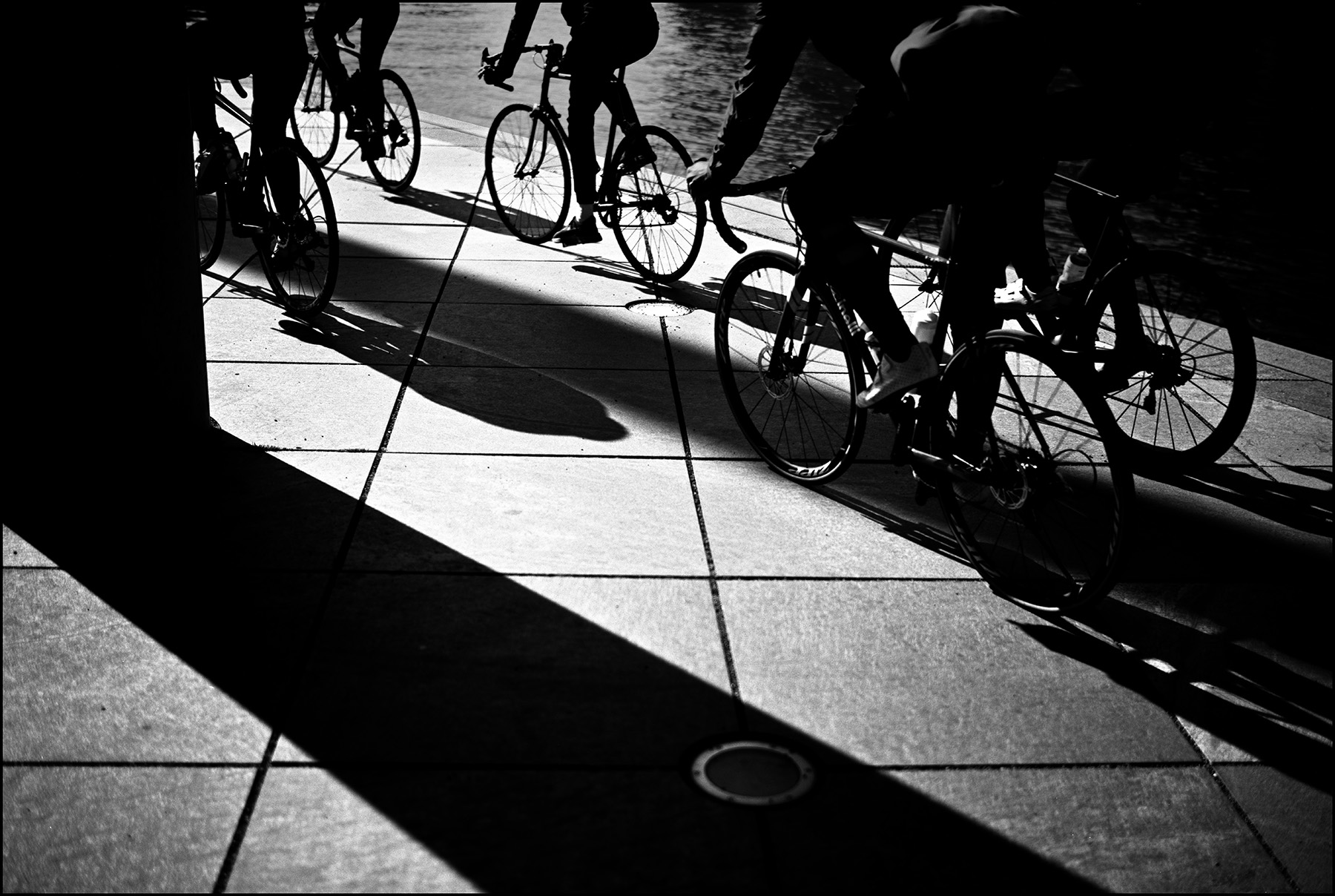 silhouettes of road cyclists